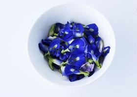 Butterfly pea flowers herbs in a bowl photo