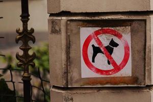 No dogs sign on concrete fance pillar photo