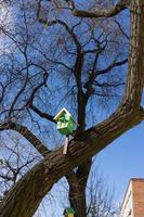 Urban landscape with bird houses photo