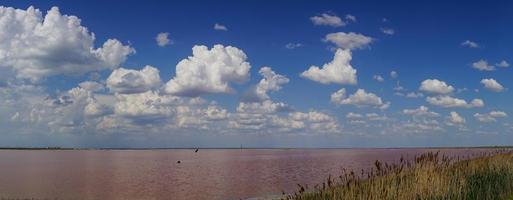 Natural landscape with pink salt lake photo