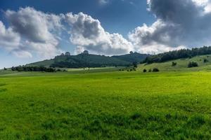 A huge green field of grass under blue sky photo