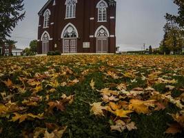 Beautiful orange leaves that have fallen photo