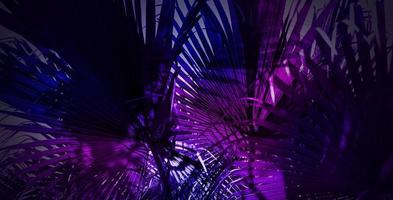Abstract tropical summer neon light design of palm leaves background