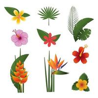 paquete de flores exóticas tropicales vector