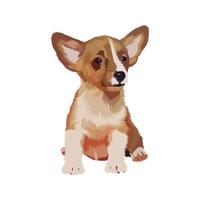 Vector graphic illustration of a dog isolated on white background