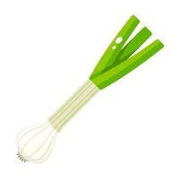 Spring Onion Organic Food vector