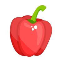 Capsicum Bell Pepper vector