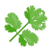 diseño de hojas de cilantro vector