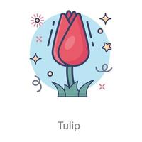 Tulip Blossom Flower vector