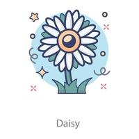 Daisy Common spring vector