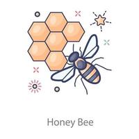 Honey Bee hive vector