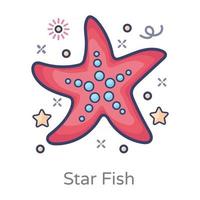 starfish Aquatic Animal vector