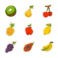 paquete de iconos de frutas de verano tropical vector