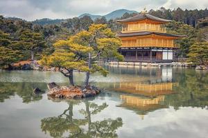 kyoto, japón 2019- templo dorado kinkaku-ji en kyoto