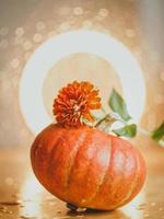 Autumn composition of pumpkins and flowers photo