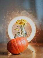 Autumn composition of pumpkins and flowers photo