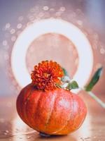 Autumn composition of pumpkins and flowers photo