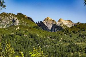 montañas y árboles foto