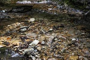 Rocky shore and stream photo