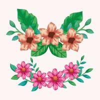 conjunto de decoraciones de flores con hojas vector