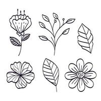 set of branches with natural leaves vector