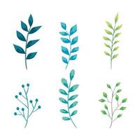 set of branches with natural leaves vector