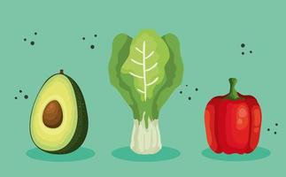 set of fresh and healthy vegetables vector