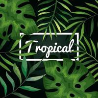background of leaves tropical natural vector