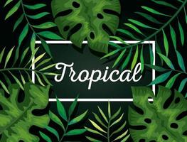 background of leaves tropical natural vector