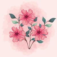 pink color flowers, branches with leaves nature decoration vector