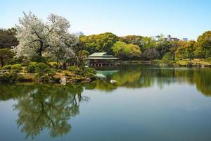 Jardín Kiyosumi con flor de cerezo en Tokio, Japón foto