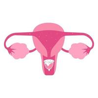 Flat illustration of menstrual cup usage vector