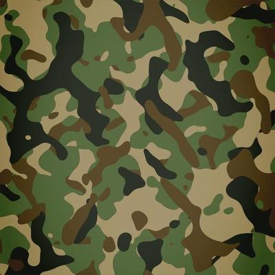 Camo Pattern Vector Art, Icons, and Graphics for Free Download