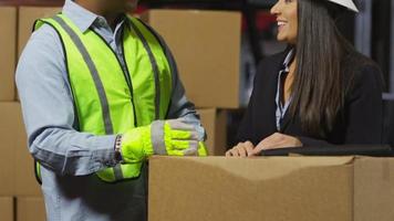 Portrait of industry workers in shipping warehouse video