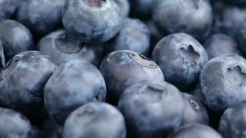 Fresh blueberries, fruit background