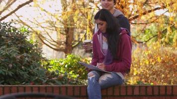 portret van studenten in de herfst video