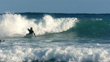 Surfer rides wave, Hawaii video