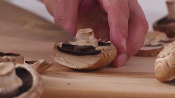 fatiando cogumelos frescos, closeup video