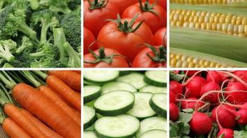 Fresh vegetables, video montage