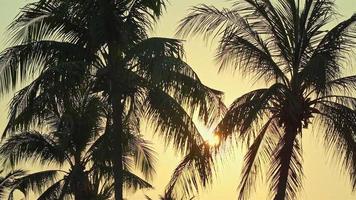 beau coucher de soleil sur la plage tropicale et la mer video