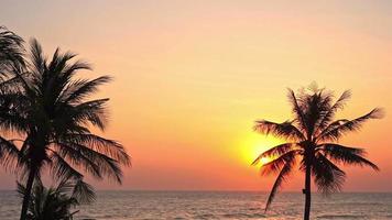 hermosa puesta de sol en la playa tropical y el mar video