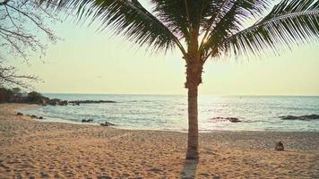 schöner Sonnenuntergang am tropischen Strand und Meer video