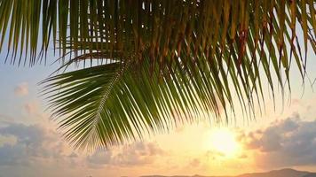 schöner Sonnenuntergang am tropischen Strand und Meer video