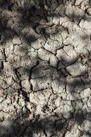 Fondo de textura de suelo seco del desierto foto