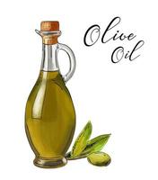 Vector bottle of olive oil with green olives