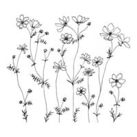 Ilustración de dibujado a mano de línea de pequeñas flores silvestres con flores silvestres de verano. Hierba de flor minimalista y planta medicinal para decoración de tatuaje de diseño postal vector