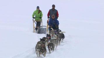 slitte trainate da cani, Alaska