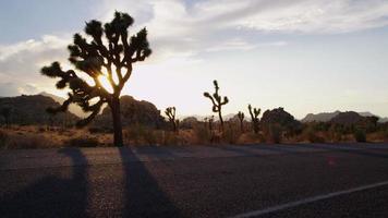 Motorcycle on highway. California desert at sunset video