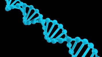ADN 3d para investigación médica o el estudio de la genética de organismos vivos