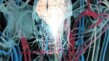 cabeza humana y cerebro hombres bucles giratorios o ciencia de investigación sobre órganos conceptuales video